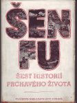 Šen fu šest historií prchavého života - náhled