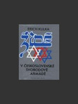 Židé v československé svobodově armádě - náhled