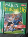 Falken Fußball 96. Meisterschaft, DFB - Pokal - náhled