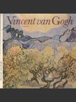 Vincent van Gogh - náhled