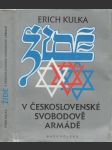Židé v Československé Svobodově armádě - náhled