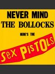 Never mind the bollocks - náhled