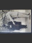 Osvoboditel T.G.M. s Karlem Hellerem v Tyršově domě v květnu 1929 - náhled