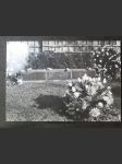 Hrob prvního presidenta Československé republiky T.G. Masaryka, jeho manželky Ch. G. Masarykové a jejich syna Jana Masaryka na hřbitově v Lánech - náhled