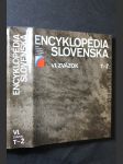 Encyklopédia Slovenska. Zväzok VI. - náhled