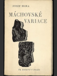 Máchovské variace - náhled