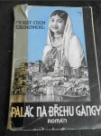 Palác na břehu Gangy : román - náhled