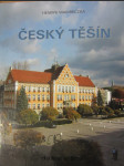 Český Těšín - náhled
