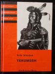 Tekumseh : vyprávění o boji rudého muže, sepsané podle starých pramenů - náhled