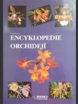 Encyklopedie orchidejí - náhled
