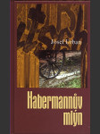 Habermannův mlýn - náhled