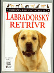 Labradorský retrívr - náhled