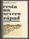 Cesta na severozápad - náhled