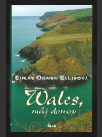 Wales, můj domov - náhled