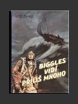 Biggles vidí příliš mnoho - náhled