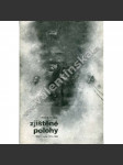 Zjištěné polohy: Výběr z tvorby 1971-1984 - náhled