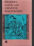 Příběhy chrabrého rytíře Amadise Waleského - náhled