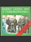 Horký leden 1989 v československu - náhled