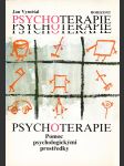 Psychoterapie - náhled