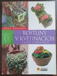 Rostliny v květináčích a dalších nádobách - náhled