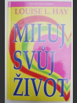 Miluj svůj život - náhled