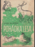 Pohádka lesa - náhled