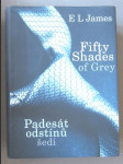 Padesát odstínů šedi - Fifty shades of grey - náhled