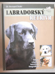 Labradorský retrívr - náhled