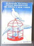 Tři měsíce v New Yorku - s kresbami Adolfa Hoffmeistera - náhled
