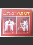 Základy sebeobrany: Karate - náhled