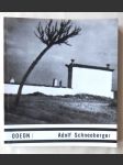 Adolf Schneeberger - monografie s ukázkami z fot. díla - náhled