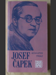 Josef Čapek - náhled