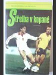 Střelba v kopané - náhled