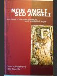 Non angli sed angeli - Kult svatých v latinské literatuře raně středověké Anglie - náhled
