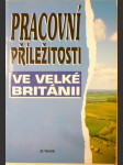 Pracovní příležitosti ve Velké Británii - náhled