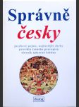 Správně česky: jazykové pojmy, nejčastější chyby, pravidla českého pravopisu, slovník spisovné češtiny - náhled