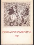 Pražská květnová revoluce 1945 - náhled