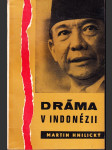 Dráma v Indonézii - náhled