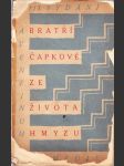 Ze života hmyzu - komedie o třech aktech s předehrou a epilogem - náhled