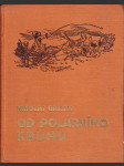 Od polárního kruhu - náhled