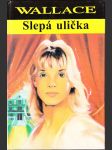 Slepá ulička - náhled