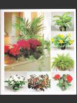 Pokojové rostliny od A do Z, III. (Popínavé, Kaktusy, Orchideje) - náhled