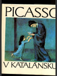 Picasso v Katalánsku - náhled