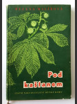 Pod kaštanem - náhled