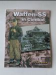 Waffen SS in Combat - náhled