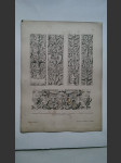 Muster-Ornamente Aus Allen Stilen in Historischer Anordnung č. 201 - náhled