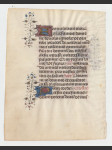 Stránka z náboženského rukopisu na pergamenu kolem roku 1450 - náhled