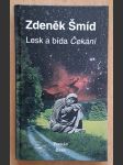 Lesk a bída Čekání - náhled