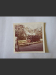 Parní vlak - dobové foto 9x9 cm - náhled