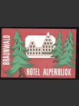 Rakousko Etiketa Hotel Alpenblick Braunwald - náhled